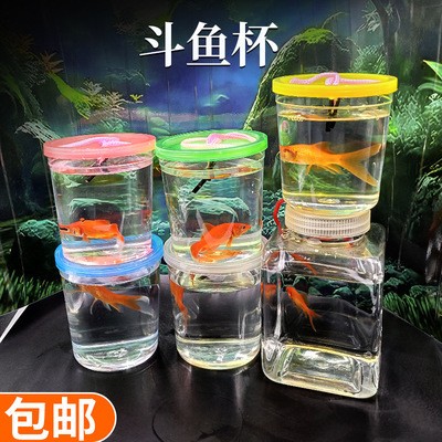 南安市霞美鎮銳龍人家水族館（南安市霞美鎮銳龍人家水族館電話）