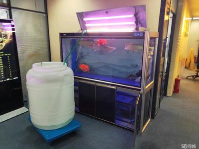 衡陽縣城關木槿花水族店(衡陽縣城關木槿花水族店電話) 全國水族館企業名錄 第2張 衡陽縣城關木槿花水族店(衡陽縣城關木槿花水族店電話) 衡陽縣城關木槿花水族店(衡陽縣城關木槿花水族店電話) 全國水族館企業名錄 第2張