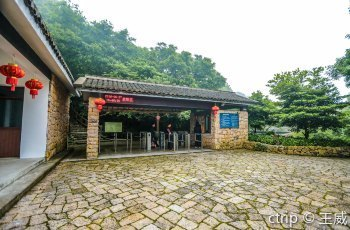 白山紅龍魚價格2688貴嗎？