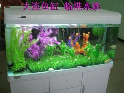 玻璃魚缸安裝視頻：玻璃魚缸安裝步驟詳解