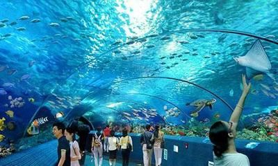長沙水族館vs祥龍魚場（長沙水族館與祥龍魚場之間的差異需要明確兩者的區別）