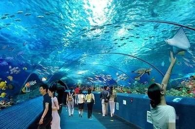 長沙水族館vs祥龍魚場（長沙水族館與祥龍魚場之間的差異需要明確兩者的區別）