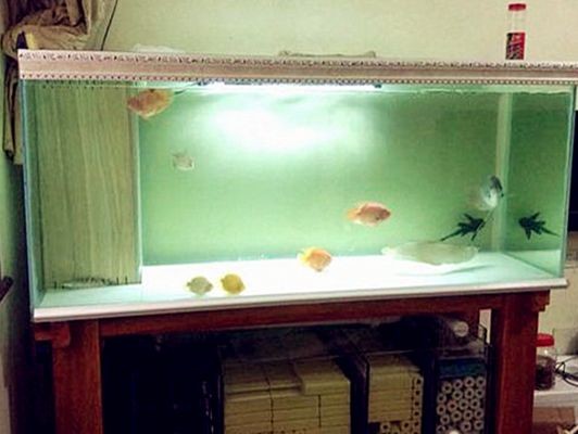 瓷磚制作魚缸架子：使用瓷磚制作魚缸架子需要考慮幾個關鍵因素需要考慮 瓷磚制作魚缸架子：使用瓷磚制作魚缸架子需要考慮幾個關鍵因素需要考慮 魚缸百科 第1張