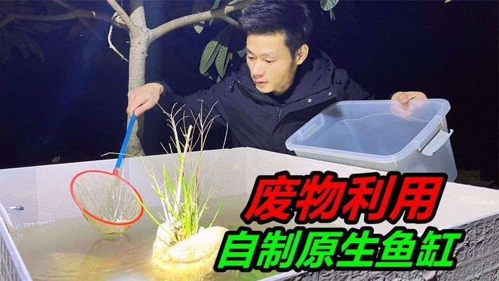 瓷磚制作魚缸架子：使用瓷磚制作魚缸架子需要考慮幾個關鍵因素需要考慮 瓷磚制作魚缸架子：使用瓷磚制作魚缸架子需要考慮幾個關鍵因素需要考慮 魚缸百科 第3張