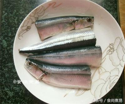 過背金龍魚成長過程視頻教程（過背金龍魚成長過程視頻教程全集）