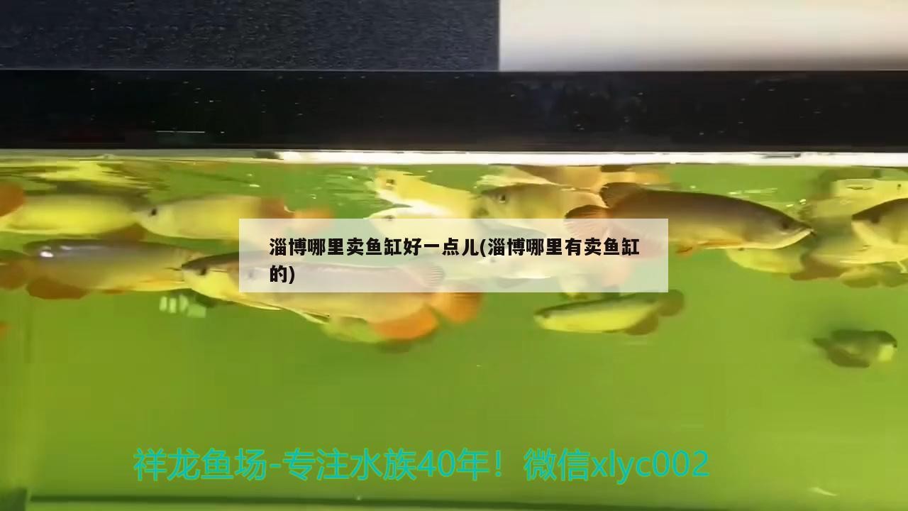 淄博哪里賣魚缸好一點(diǎn)兒(淄博哪里有賣魚缸的)