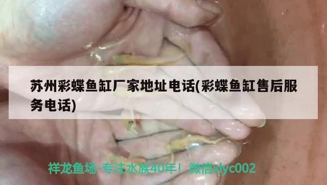 馬來西亞博特拉大學博士幾年(馬來西亞博特拉大學博士含金量)