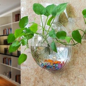 壁掛小魚缸擺放位置：壁掛小魚缸擺放的風(fēng)水技巧在辦公室擺放的風(fēng)水技巧