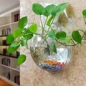 壁掛小魚缸擺放位置：壁掛小魚缸擺放的風(fēng)水技巧在辦公室擺放的風(fēng)水技巧