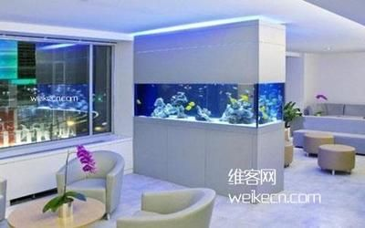 大魚缸在家里哪個位置好啊?:家里大魚缸的最佳擺放位置 魚缸百科 第1張 大魚缸在家里哪個位置好啊?:家里大魚缸的最佳擺放位置 大魚缸在家里哪個位置好啊?:家里大魚缸的最佳擺放位置 魚缸百科 第1張