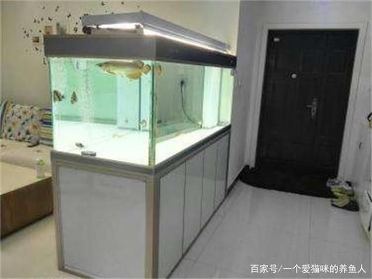 如何養龍魚vs祥龍魚場：祥龍魚場的口碑評價