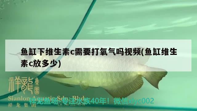 魚缸下維生素c需要打氧氣嗎視頻(魚缸維生素c放多少)
