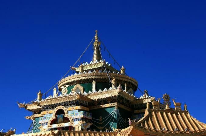 為祖國(guó)點(diǎn)贊祖國(guó)最美 為祖國(guó)點(diǎn)贊祖國(guó)最美 魟魚(yú)百科 第5張