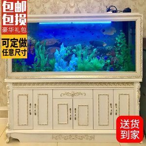 60的魚缸有多大：60厘米的魚缸適合養(yǎng)哪些魚