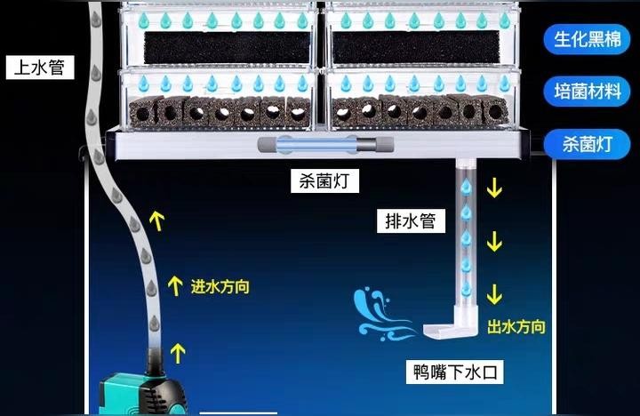 博特魚缸水泵官網:魚缸水泵一會停一會開容易壞嗎 博特魚缸水泵官網:魚缸水泵一會停一會開容易壞嗎 博特水族