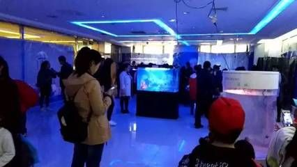 衡水水族館vs祥龍魚場（衡水市有哪些水族館？）