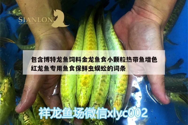 包含博特龍魚(yú)飼料金龍魚(yú)食小顆粒熱帶魚(yú)增色紅龍魚(yú)專用魚(yú)食保鮮蟲(chóng)蜈蚣的詞條