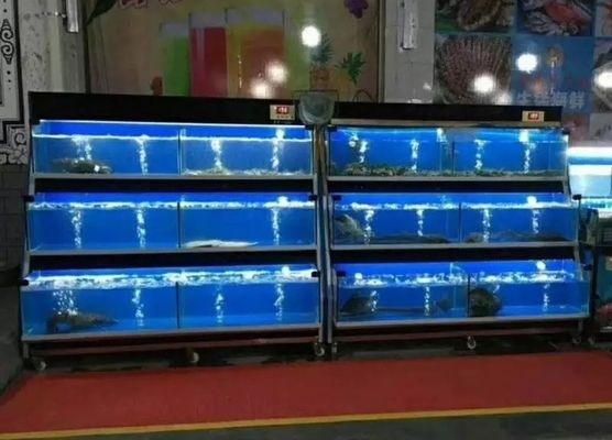 虎門水族文化探秘：虎門地區提供魚缸銷售的實體商店 虎門水族文化探秘：虎門地區提供魚缸銷售的實體商店 虎魚百科