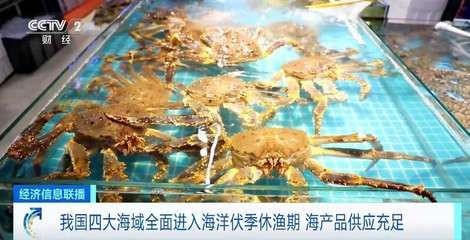 八爪魚(yú)怎么用魚(yú)缸養(yǎng)殖視頻：八爪魚(yú)養(yǎng)殖注意事項(xiàng)八爪魚(yú)魚(yú)缸養(yǎng)殖注意事項(xiàng)
