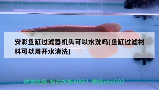 安彩魚缸過濾器機頭可以水洗嗎(魚缸過濾材料可以用開水清洗) 安彩魚缸過濾器機頭可以水洗嗎(魚缸過濾材料可以用開水清洗) 魟魚百科