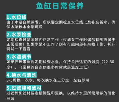 森森和博宇哪個好：森森和博宇各有優缺點 森森和博宇哪個好：森森和博宇各有優缺點 森森魚缸