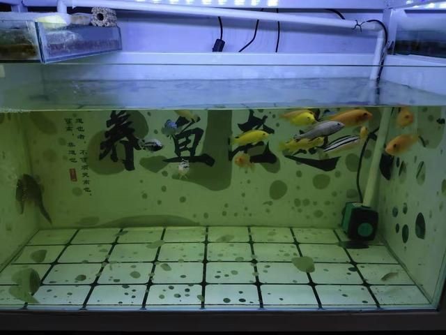 大型魚缸漏水水怎么處理：大型魚缸漏水怎么辦？