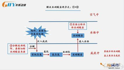 100l水是多大魚缸：100升水的魚缸尺寸是多大？ 100l水是多大魚缸：100升水的魚缸尺寸是多大？ 魚缸百科 第2張