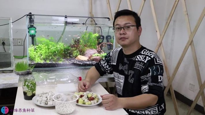 魚缸進水口和出水口一樣大（魚缸進水口和出水口一樣大嗎） 魚缸進水口和出水口一樣大（魚缸進水口和出水口一樣大嗎） 魚缸百科
