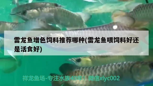 1米的魚缸用多大的水泵 1米的魚缸用多大的水泵合適