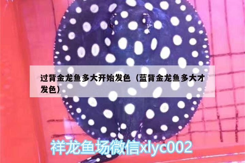 魚(yú)缸用增氧泵價(jià)格是多少:魚(yú)缸增氧機(jī)-xtrac增氧機(jī)-xtrac增氧機(jī) 過(guò)背金龍魚(yú)多大開(kāi)始發(fā)色(藍(lán)背金龍魚(yú)多大才發(fā)色) 金龍魚(yú)百科 過(guò)背金龍魚(yú)多大開(kāi)始發(fā)色(藍(lán)背金龍魚(yú)多大才發(fā)色) 過(guò)背金龍魚(yú)多大開(kāi)始發(fā)色(藍(lán)背金龍魚(yú)多大才發(fā)色) 金龍魚(yú)百科