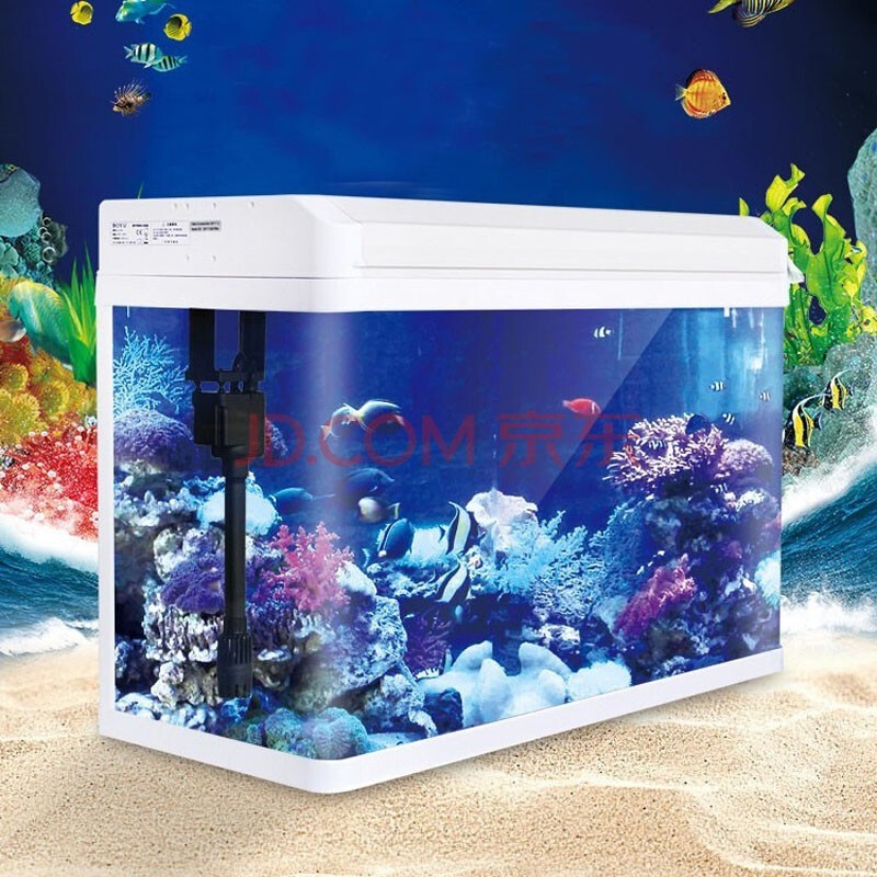 魚缸周轉箱過濾與水泵擺放位置（魚缸周轉箱過濾與水泵擺放位置有關系嗎） 魚缸周轉箱過濾與水泵擺放位置（魚缸周轉箱過濾與水泵擺放位置有關系嗎） 魚缸百科