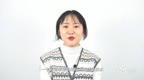 大型魚缸如何清理糞便：如何清理大型魚缸糞便