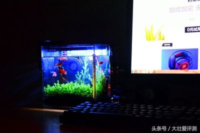 森森魚缸顯示器不亮了 森森魚缸顯示器不亮了 森森魚缸