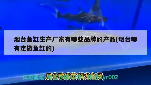 煙臺(tái)魚(yú)缸生產(chǎn)廠家有哪些品牌的產(chǎn)品(煙臺(tái)哪有定做魚(yú)缸的)