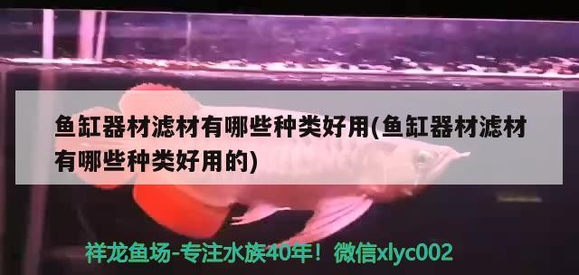 魚缸器材濾材有哪些種類好用(魚缸器材濾材有哪些種類好用的)