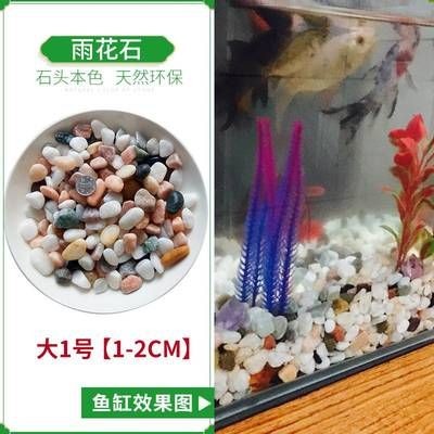 彩色石子放魚缸有毒嗎：彩色石子是否適合放入魚缸 彩色石子放魚缸有毒嗎：彩色石子是否適合放入魚缸 魚缸百科 第1張