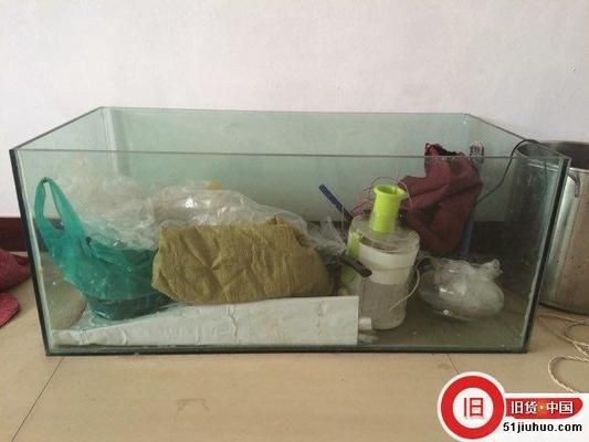 大石頭怎么放進魚缸里養魚：如何將大石頭放入魚缸中進行養魚