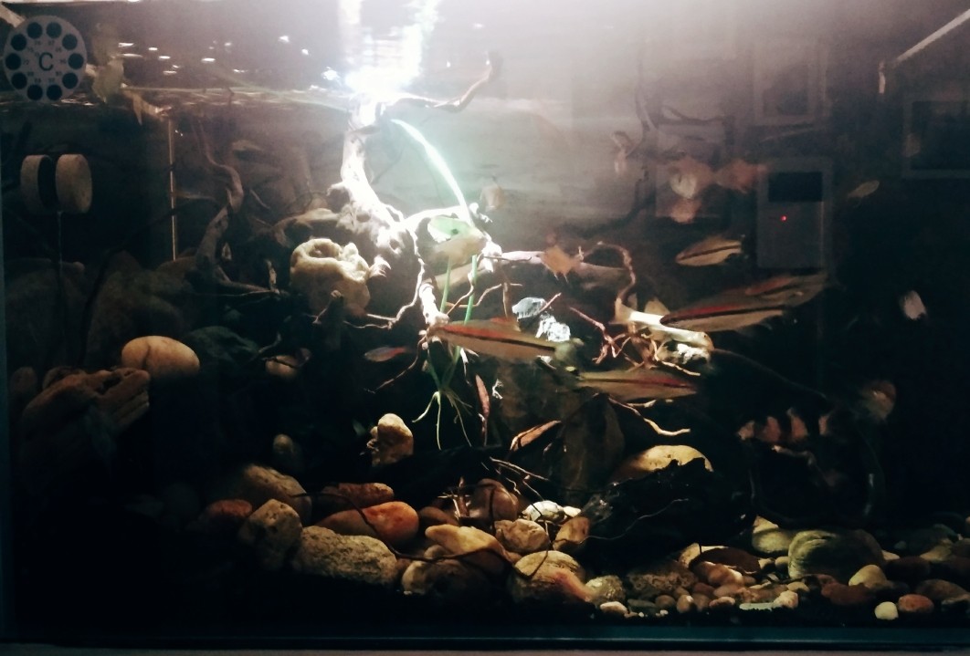 簽個到打個卡證明我一直都在 魟魚百科 第1張 簽個到打個卡證明我一直都在 簽個到打個卡證明我一直都在 魟魚百科 第1張