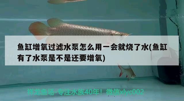 魚缸增氧過濾水泵怎么用一會就燒了水(魚缸有了水泵是不是還要增氧)