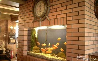 朝南的房子魚缸放什么位置合適呢:坐北朝南房子魚缸擺放的風水注意事項魚缸擺放的最佳位置 魚缸百科 第1張 朝南的房子魚缸放什么位置合適呢:坐北朝南房子魚缸擺放的風水注意事項魚缸擺放的最佳位置 朝南的房子魚缸放什么位置合適呢:坐北朝南房子魚缸擺放的風水注意事項魚缸擺放的最佳位置 魚缸百科 第1張