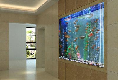 朝南的房子魚缸放什么位置合適呢:坐北朝南房子魚缸擺放的風水注意事項魚缸擺放的最佳位置 魚缸百科 第3張 朝南的房子魚缸放什么位置合適呢:坐北朝南房子魚缸擺放的風水注意事項魚缸擺放的最佳位置 朝南的房子魚缸放什么位置合適呢:坐北朝南房子魚缸擺放的風水注意事項魚缸擺放的最佳位置 魚缸百科 第3張