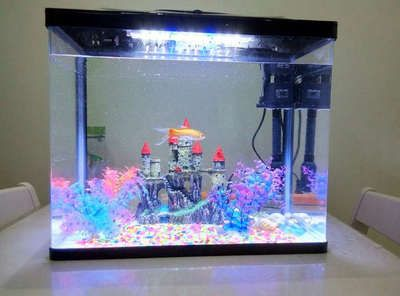sunsun桌面型小魚缸：sunsun桌面型小魚缸介紹