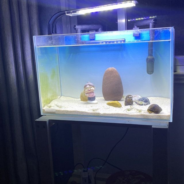 sunsun桌面型小魚缸：sunsun桌面型小魚缸介紹