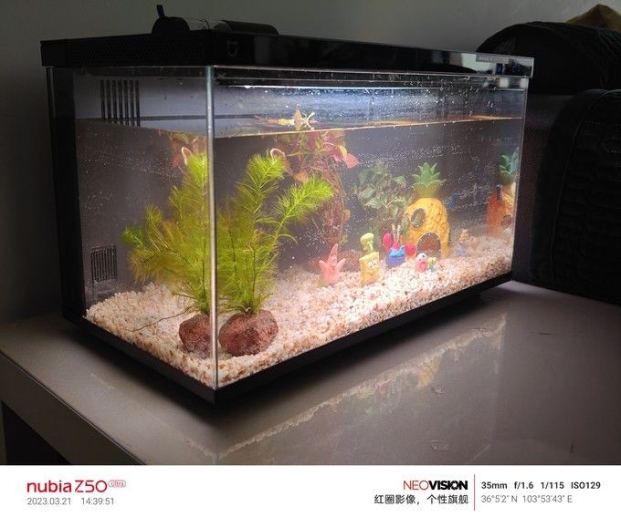 neo是什么品牌魚缸：neo品牌是一個專業的魚缸品牌neo品牌推薦