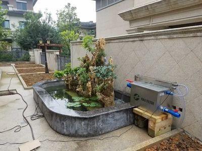 冬天魚缸水變渾濁：魚缸水變渾濁魚缸水質管理的誤區與對策的誤區與對策