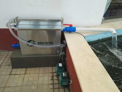 冬天魚缸水變渾濁：魚缸水變渾濁魚缸水質管理的誤區與對策的誤區與對策