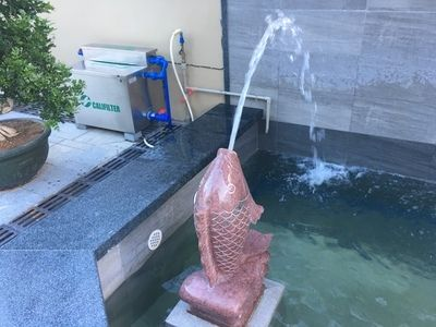 冬天魚缸水變渾濁：魚缸水變渾濁魚缸水質管理的誤區與對策的誤區與對策