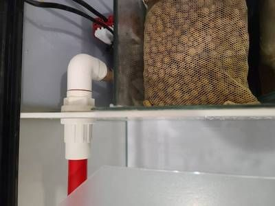 側濾魚缸怎么吸糞便的：側濾魚缸吸糞便的工作原理 側濾魚缸怎么吸糞便的：側濾魚缸吸糞便的工作原理 魚缸百科 第2張