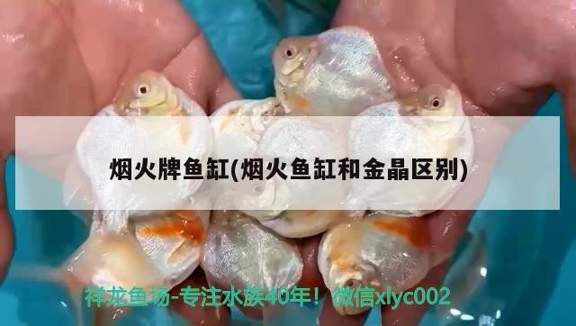 煙火牌魚缸(煙火魚缸和金晶區別)