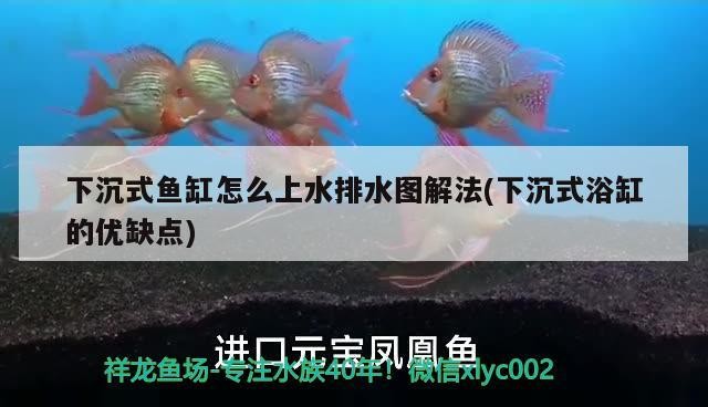 下沉式魚缸怎么上水排水圖解法(下沉式浴缸的優(yōu)缺點)
